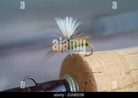 Nymph box hi-res stock photography and images - Page 2 - Alamy