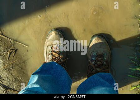 Hiking boots on trail in muddy water Royalty free stock photo Stock Photo