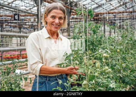 Smiling female farmer checking vegetable plants at greenhouse Stock Photo