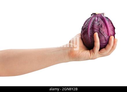 red cabbage in hand path isolated on white Stock Photo