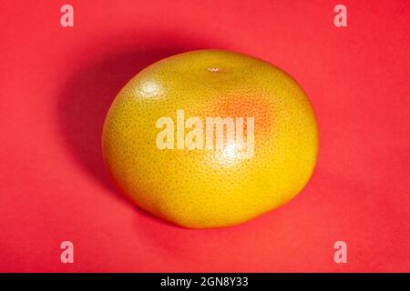 yellow grapefruit on red background Stock Photo