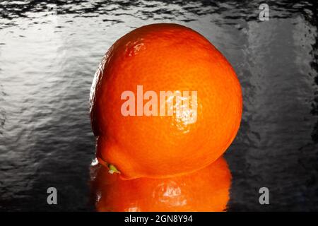 minneola tangelo tangerine on black background Stock Photo