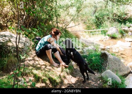 Mid adult woman and dog looking at each other in forest Stock Photo