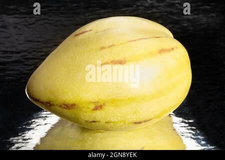 mirrored pepino on black background Stock Photo
