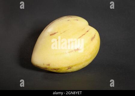 single pepino on black background Stock Photo