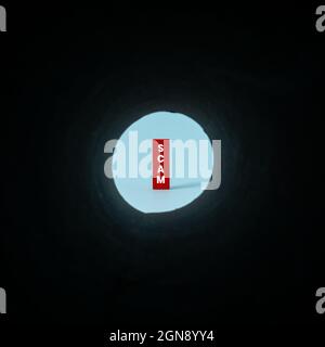 Scam concept with a word 'SCAM' on red wooden block. Stock Photo