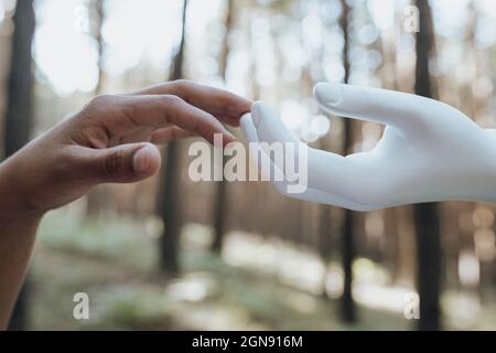 Hands of woman and robot touching Stock Photo