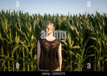 Blond woman with hair bun in front of corn crops on field during sunny day Stock Photo