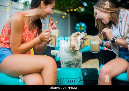 Furry friend with best friends in backyard Stock Photo