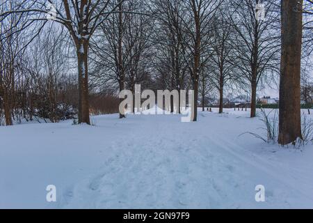Winter landscape in Braunschweig, Lower Saxony, Germany. Snow covered Westpark after heavy snowfall Stock Photo