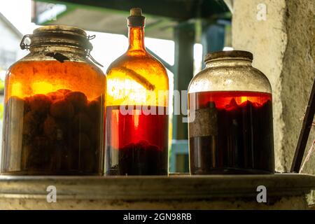 alcoholic beverages macerated in recent glass Stock Photo