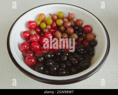 Freshly harvesting mixed berries in a round dish  top view Stock Photo