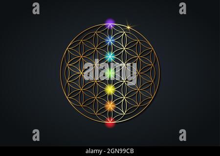 flower of life and the seven chakras. Gold Sacred Geometry, set chakra points meditation. Colored chakra lights. Yoga, zen, Buddhism, recovery, logo Stock Vector