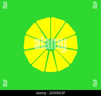 fresh pineapple slice on green background vector illustration, half lemon slice Stock Vector
