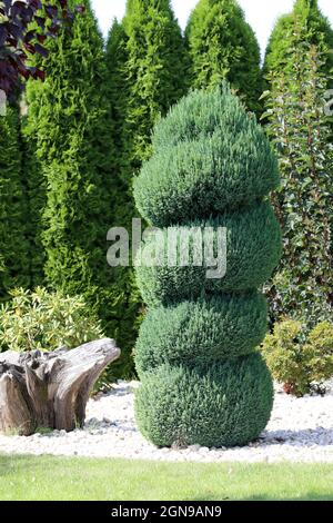Beautiful decorations in the park for lovers . Stock Photo