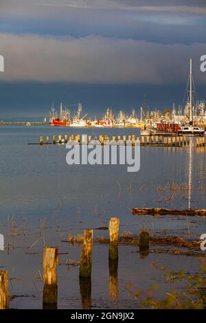 Steveston harbour in bright morning sunshine at high tide in British Columbia Canada Stock Photo