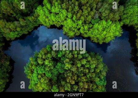 Aerial view of lush green rainforest canopy with tree covered islands surrounded by river water in a tropical Amazon or Thailand environment Stock Photo