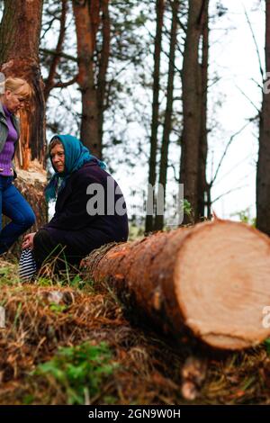 Defocus side view of two woman walking in pine forest and seating on log trunk. Leisure and people concept, mother and daughter in fall forest. People Stock Photo