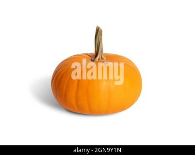 Orange pumpkin isolated on a white background. Ripe fresh pumpkin. Side view. Stock Photo