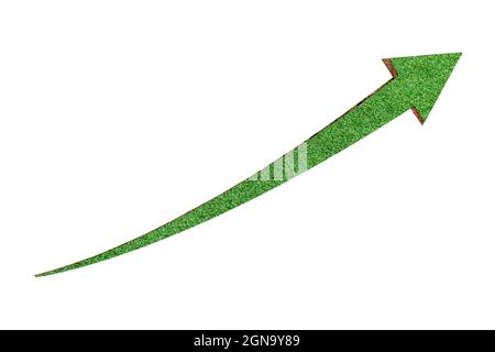 Green grass arrow icon isolated on white background. ecological concept. Stock Photo