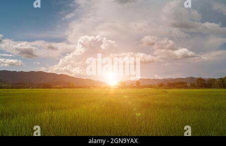 Beautiful sunrise over mountains and green rice field. countryside landscape in Thailand Stock Photo