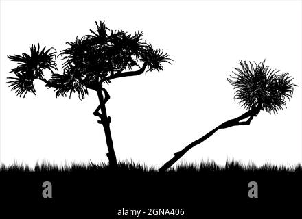 two pandanus trees on white background Stock Vector