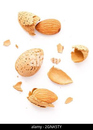 Close up group of almonds nut with shell  and cracked almonds shell isolated on white background. Stock Photo