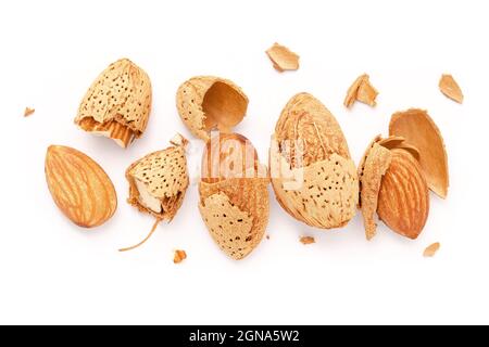 Close up group of almonds nut with shell  and cracked almonds shell isolated on white background. Stock Photo