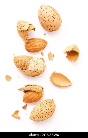 Close up group of almonds nut with shell  and cracked almonds shell isolated on white background. Stock Photo