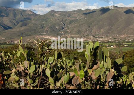 landscape of dried andes mountains in loja ecuador Stock Photo