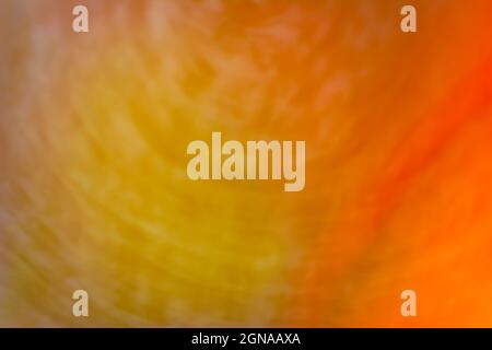 Abstract dirty orange gray yellow autumn blurred background. Stock Photo