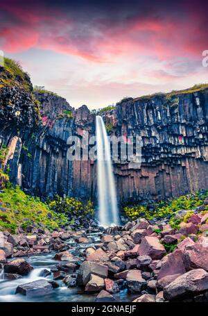 Incredible morning view of  famous Svartifoss (Black Fall) Waterfall. Colorful summer sunrise in Skaftafell, Vatnajokull National Park, Iceland, Europ Stock Photo