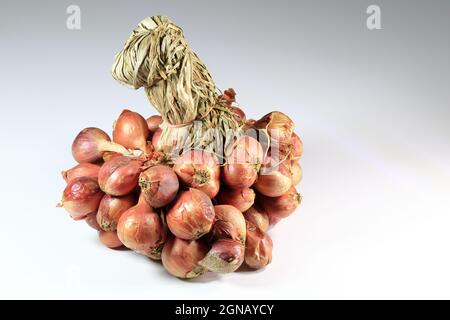 Premium Photo  Thai spicy herb shallot bunch of shallots with root on  wooden table and space on right