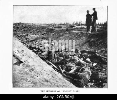 'Bloody Lane' in the sunken road, was delivered the most telling blow of which the Federals could boast in the day's fighting at The Battle of Antietam (or Battle of Sharpsburg) September 17, 1862. from the book ' The Civil war through the camera ' hundreds of vivid photographs actually taken in Civil war times, sixteen reproductions in color of famous war paintings. The new text history by Henry W. Elson. A. complete illustrated history of the Civil war Stock Photo