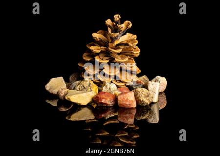 One whole beautiful pine cone with colorful rocks isolated on black glass Stock Photo