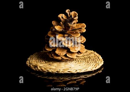 One whole beautiful pine cone on straw coaster isolated on black glass Stock Photo