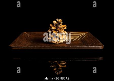 One whole beautiful pine cone on dark wooden coaster isolated on black glass Stock Photo