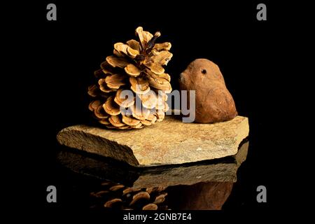 One whole beautiful pine cone with ceramic bird on flat rock isolated on black glass Stock Photo