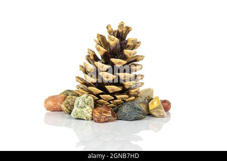 One whole beautiful pine cone with colorful rocks isolated on white background Stock Photo