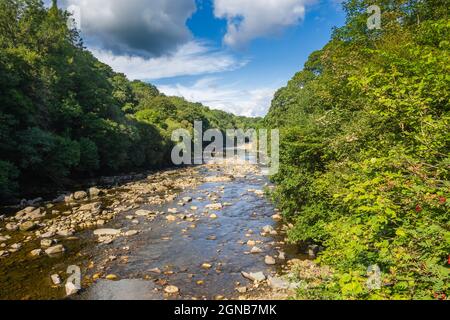 The South Tyne Trail follows the route of the River South Tyne from the source to Haltwhistle. Open to walkers and cyclists, it is almost 23 miles (36 Stock Photo