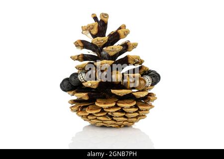 One whole beautiful pine cone isolated on white background Stock Photo