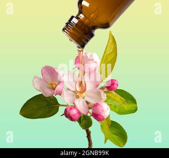 Apple Essential Oil on a Wooden Table Near Ripe Red Apples. Essential Oil  is Used To Fill Lamps, Perfumes and in Cosmetics Stock Photo - Image of  hygiene, herbal: 163070280