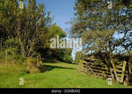 open farmland wooden gate Stock Photo