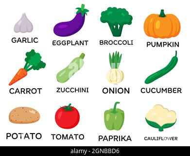 Set of vector vegetables. Cartoon flat style. Garlic, eggplant, broccoli, pumpkin, carrot, zucchini, onion, cucumber, potato, tomato, paprika, caulifl Stock Photo