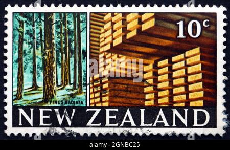 NEW ZEALAND - CIRCA 1968: a stamp printed in New Zealand shows Radiata Pines and Stacked Lumber, circa 1968 Stock Photo