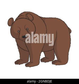 Color image of a brown bear. Isolated object on white background. Stock Vector