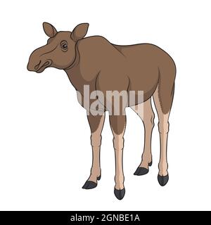 Color image of elk, moose. Isolated vector object on white background. Stock Vector