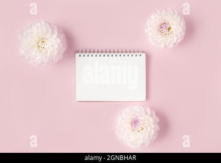 Beautiful composition of opened blank spiral notepad framed with white flowers on trendy pink background in flat lay style for decoration design. Backdrop for your design. Stock Photo