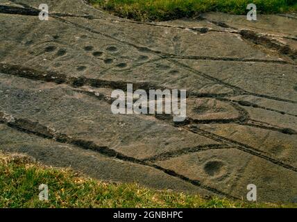 Detail view N of the E part of Cairnbaan (1) prehistoric rock art, Argyll, Scotland, UK, showing pecked grooves, cup-and-ring markings, plain cupmarks Stock Photo