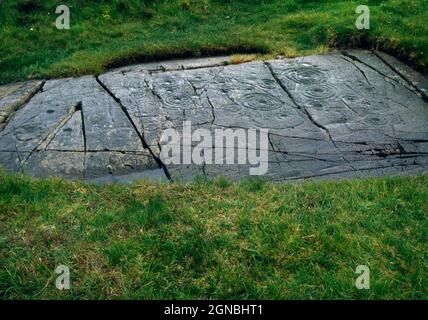 View S of Cairnbaan (2) prehistoric rock art, Argyll, Scotland, UK, showing plain cupmarks and cups with multiple concentric rings (some abutting). Stock Photo